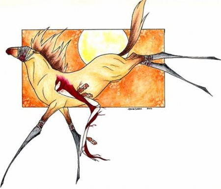 Хромой Аргамак