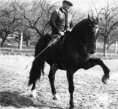 Испанский шаг