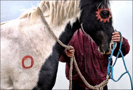 Фото лошади