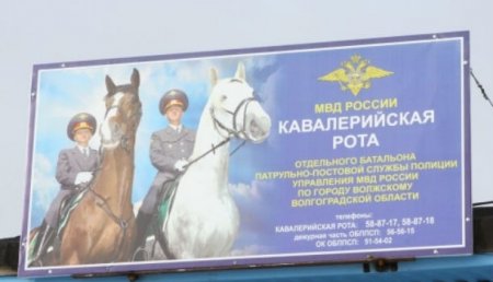 В грядущие выходные на улицы Волгограда выйдет конный полицейский патруль