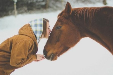 Девушка со своей ненаглядной лошадкой морозным утром