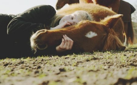 Нимилейшая фотография лошади и девушки