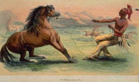 Индеец укрощает мустанга