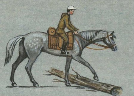 Правильная посадка всадника при преодолении естественного препятствия