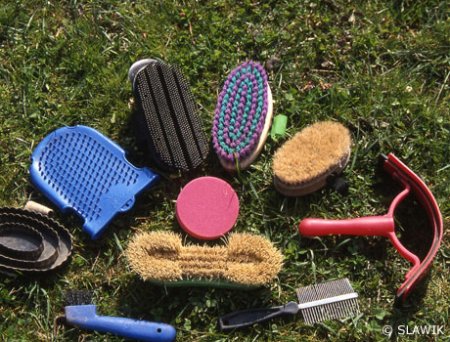 Вещи для чистки лошади