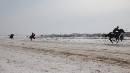 Первенство города по конному спорту стартовало в Красноярске