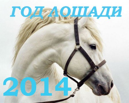 Гороскоп на 2014 год лошади