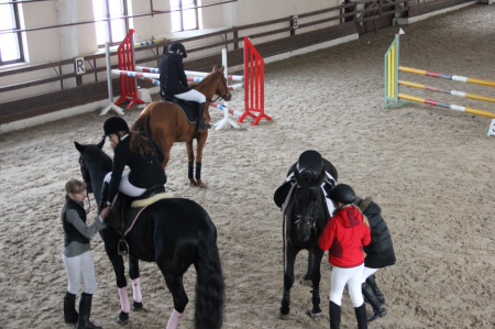 Фото начала занятия по верховой езде