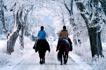Фото верховой прогулки зимой