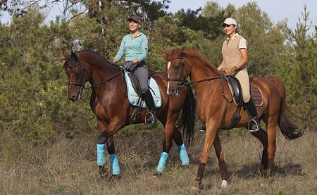 Верховая прогулка женщин и лошадей