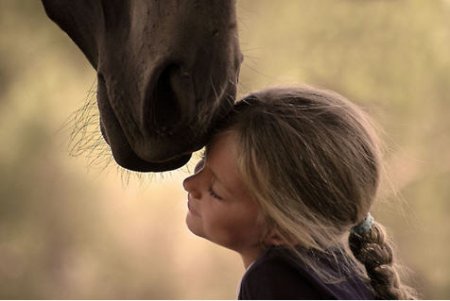 Девочка и Лошадь