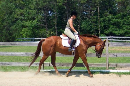 Тренировка