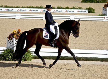 Соревнования по выездке