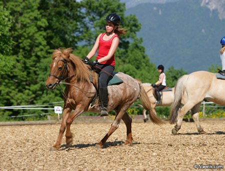 Тренировка по верховой езде