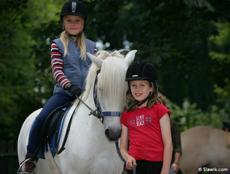 Девочки и пони