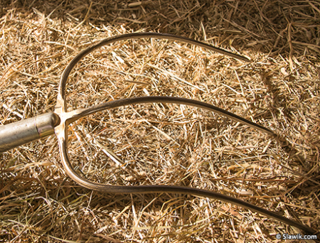 Сено и вилы