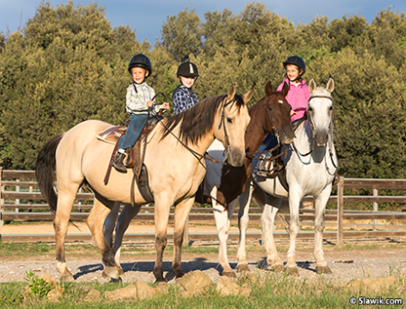 Малыши на лошадях