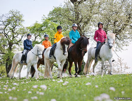 Конная прогулка