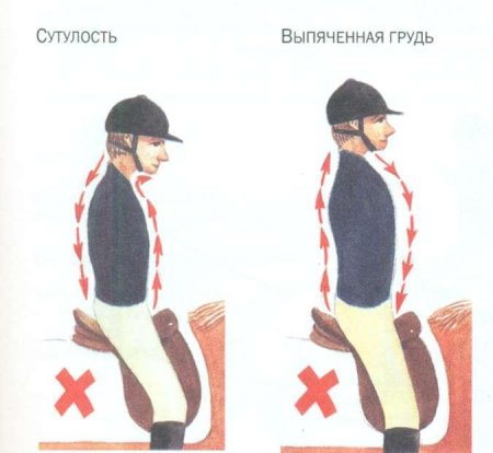 Положения спины