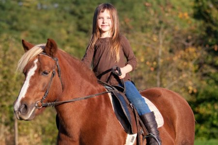 Невнимательная лошадь: как исправлять и советы