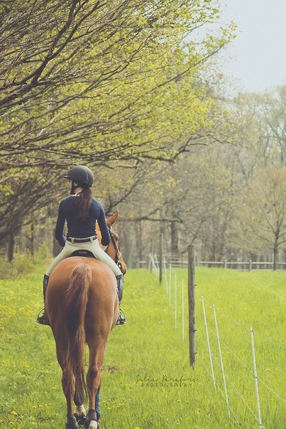 Проблемы конных прогулок и их решение