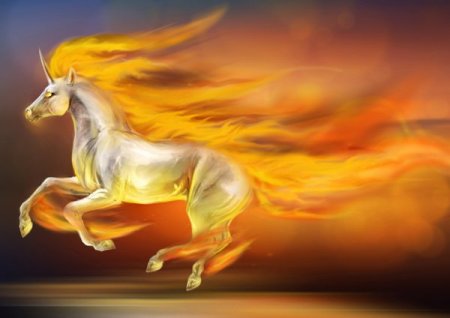 Рапидаш - огненный конь