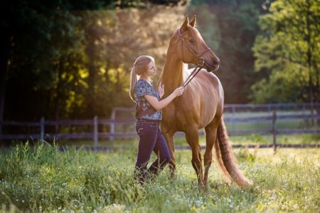 Фото девушки и лошади