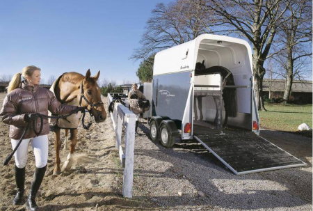 Фото коневоза для двух лошадей.