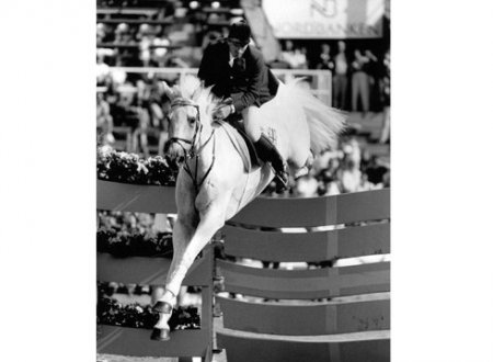 Милтон - Звезда Конкура