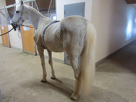 Электроды второго отведения