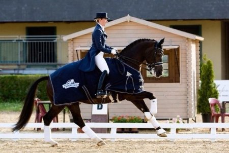Фотография лошади и всадника на соревнованиях по выездке
