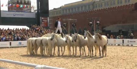 Конное шоу "Летающий всадник. Лоренцо" в Москве. Смотреть видео про лошадей онлайн