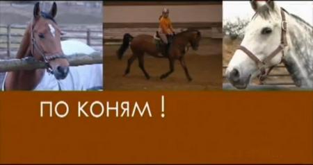 По коням! Смотреть цикл передач о лошадях онлайн