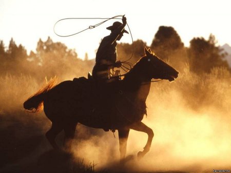 Новая дисциплина по конному спорту будет представлена в НКП «РУСЬ»
