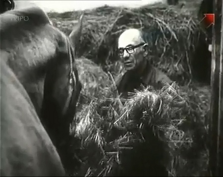 Старик и конь. Смотреть фильм про лошадей онлайн.