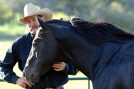Пат Парелли: Найди ключ к сердцу лошади ч. 1 "Уровень партнерства" . Смотреть фильм с лошадьми  онлайн