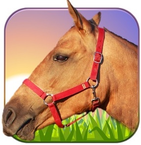 Лошадь Ride 3D. Игра для android
