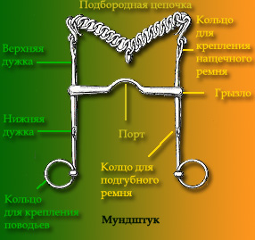 Мундштук для лошади что это. Смотреть фото Мундштук для лошади что это. Смотреть картинку Мундштук для лошади что это. Картинка про Мундштук для лошади что это. Фото Мундштук для лошади что это