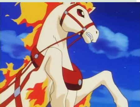 Понита в соревнованиях