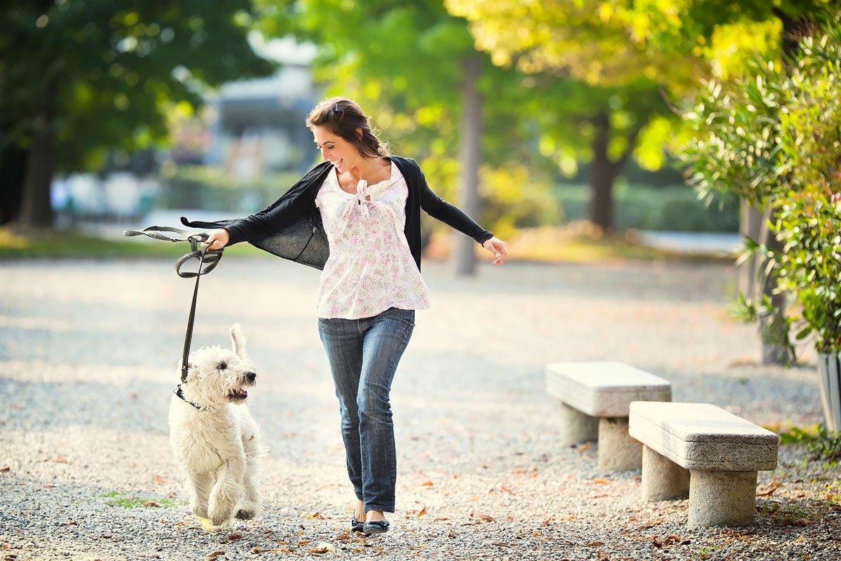 Что нужно знать о прогулке с собакой?
