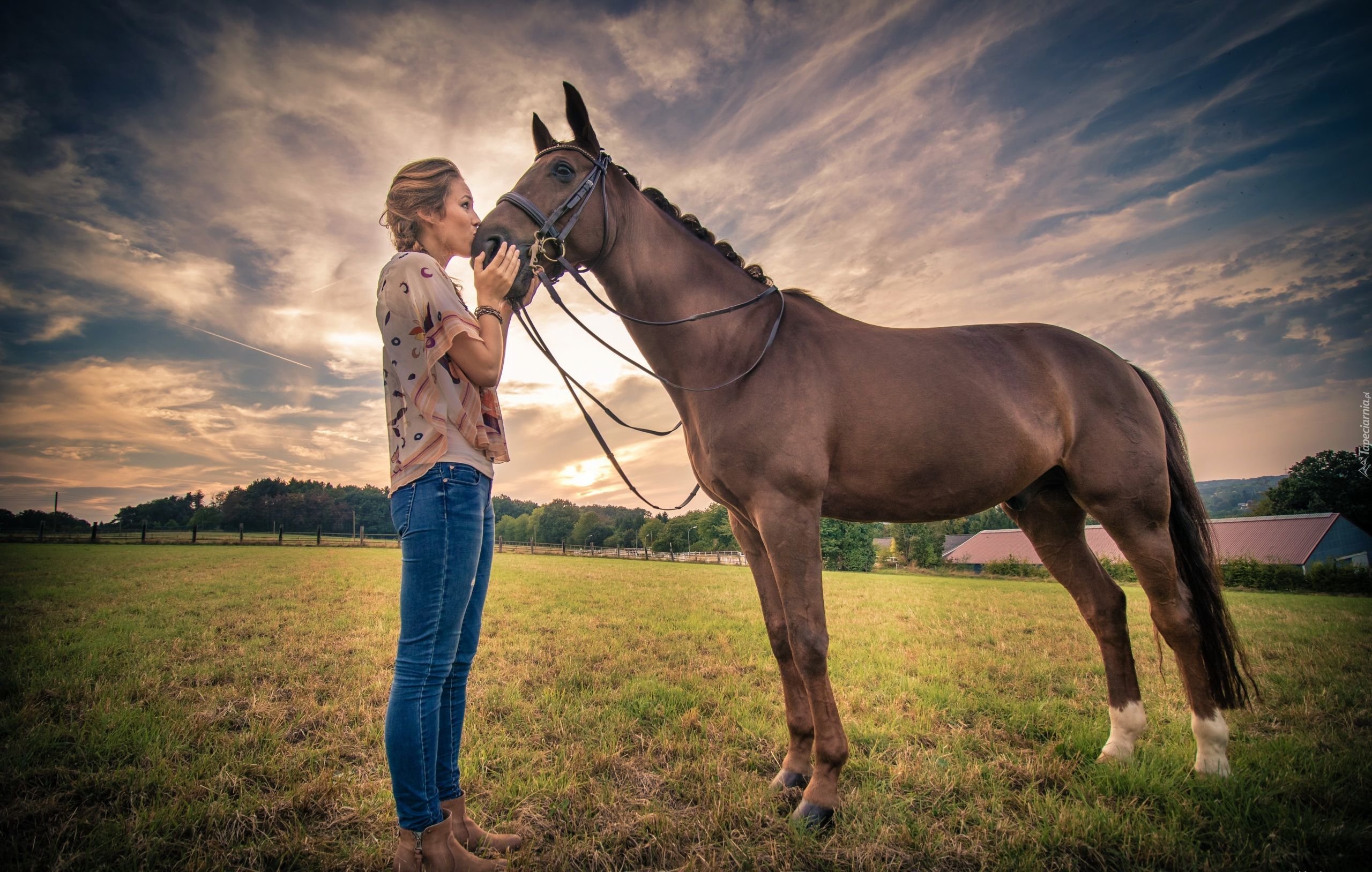 Владение лошадью для начинающих: некоторые особенности и правила
