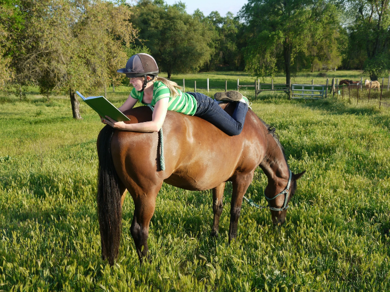 Где найти хорошие книги о лошадях
