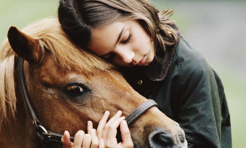Как лошади помогают бороться с хронической усталостью?