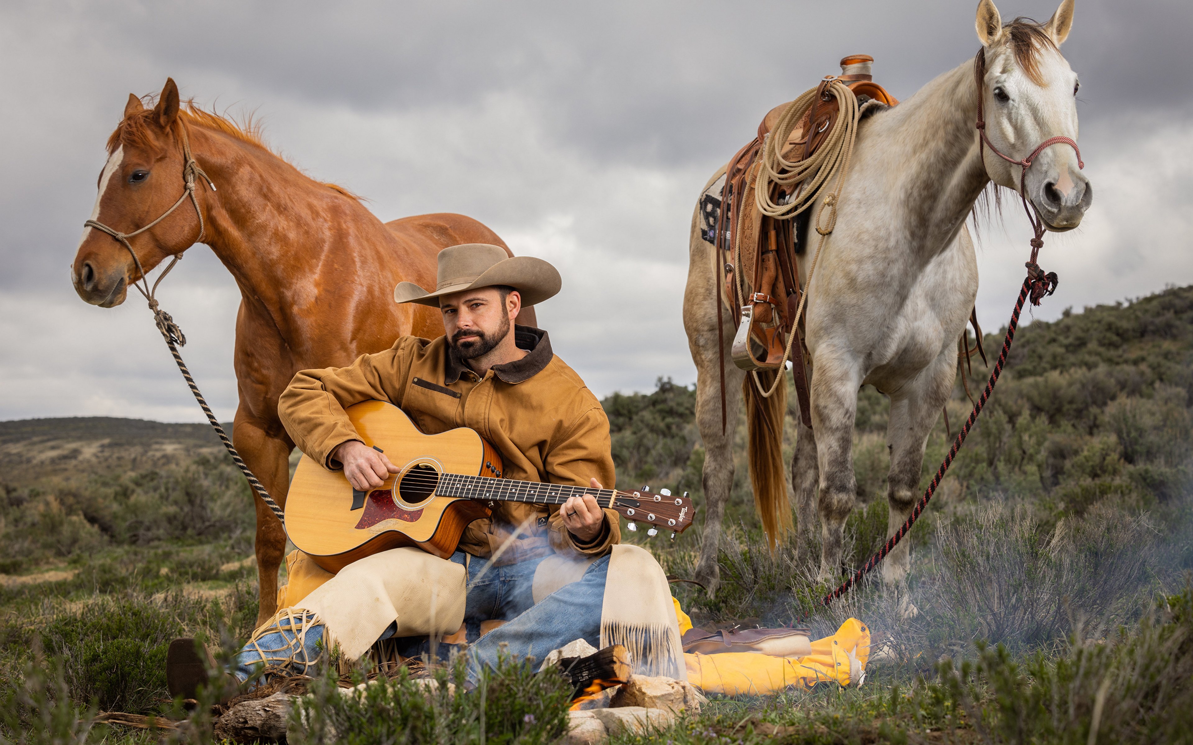 Музыкальные инструменты и лошади: как они реагируют на музыку