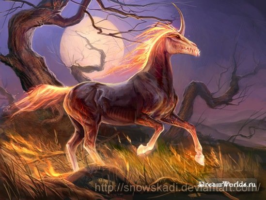 Изображение Амистра