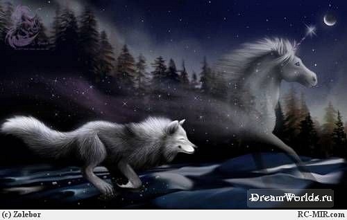 Изображение калиосто