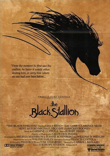 Черный скакун. Смотреть фильм про лошадей онлайн.