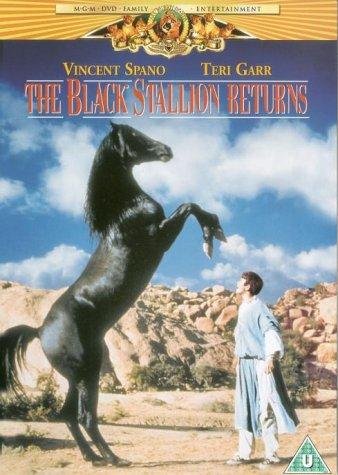 Возвращение черного скакуна. Смотреть фильм про лошадей онлайн.