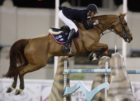 Фото лошади вестфальской породы