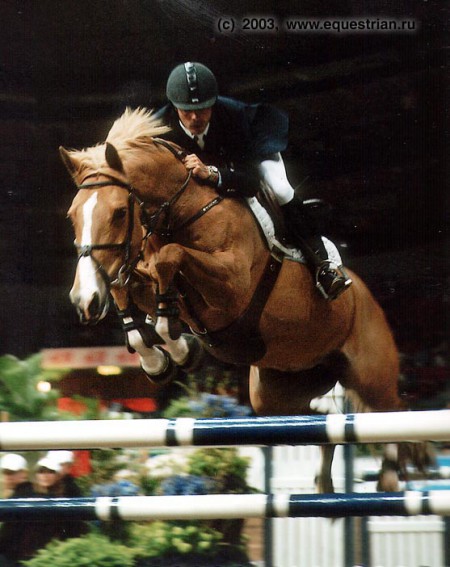 Фото конкурной лошади